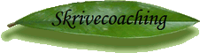 Skrivecoaching