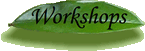 Workshops