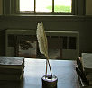 Herman Melvilles studio where he wrote Moby Dick, Arrowhead, The Berkshires, af Pablo Sanchez.